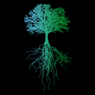 Deep Roots