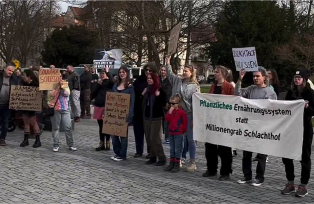 Wegen Rückgang des Fleischkonsums: Schlachthof Bamberg muss schließen - Wegen Rückgang des Fleischkonsums: Schlachthof Bamberg muss schließen