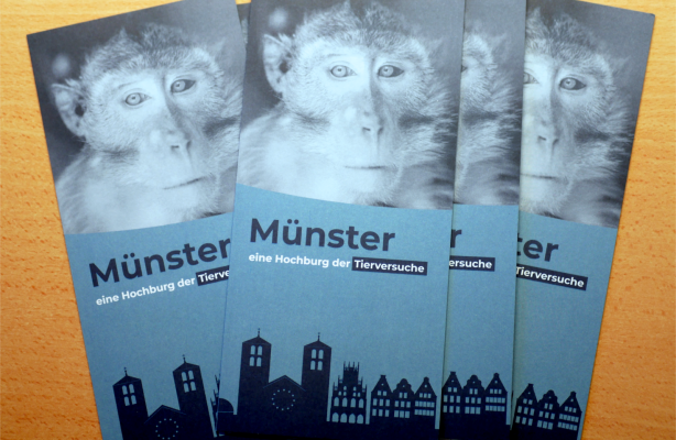 Neu: Flyer zu Tierversuchen in Münster - 