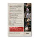 Schließung aller Schlachthäuser – Flyer (ARIWA)
