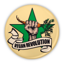 Vegan Revolution - Button