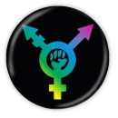 Trans*revolution - Button