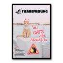 🐾 Tierbefreiung #119 | All Cats Are Beautiful