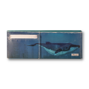 Wallet - Whale