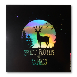 Shoot photos not Animals Aufkleber (Hologramm)