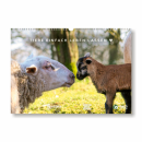 Tiere einfach leben lassen - Wandkalender 2026