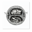 Postkarte “Keep them safe” - Großformat