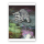 Poster Lichter II | Hartmut Kiewert