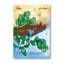 First Rain Poetry | Stefanie-Lahya Aukongo