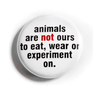Animals are not ours ... - Button