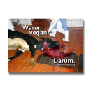 Warum vegan? Darum. (cow) - Sticker (10x)