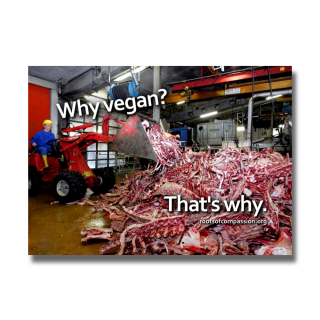 Why vegan? Thats why. (Bones) - Sticker (10x)