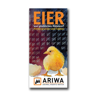 ARIWA Flyer: Eier
