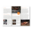 ARIWA Flyer: Eier