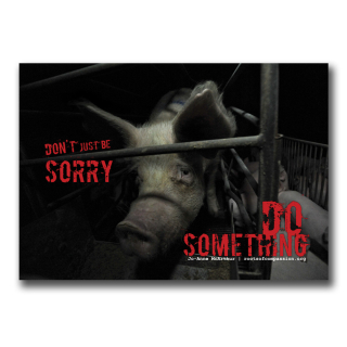 Dont just be sorry (Schweine) - Sticker (10x)