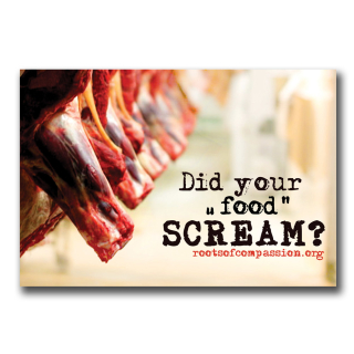 Did your food scream? - Sticker (10x)