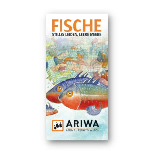ARIWA Flyer: Fische