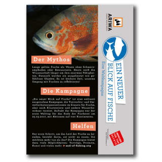 Ein neuer Blick auf Fische - Flyer (ARIWA)