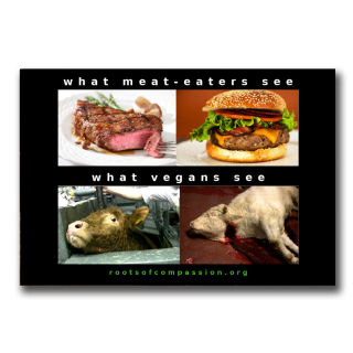 What meat-eaters see - Sticker (10x)