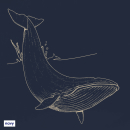 Whale - Hoodie - medium fit