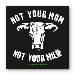 Not your mom - Sticker