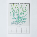 Herbal Calendar by Lennart Leibold