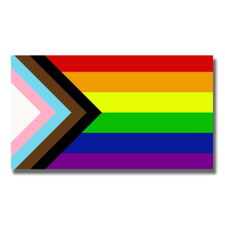 Fahne Progress Pride - Soliartikel