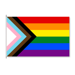 Fahne Progress Pride - Soliartikel