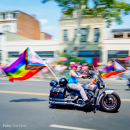 Fahne Progress Pride - Soliartikel