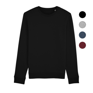 SALE! Basic - Crew Neck Sweater - medium fit XXS burgundy (discontinued model)