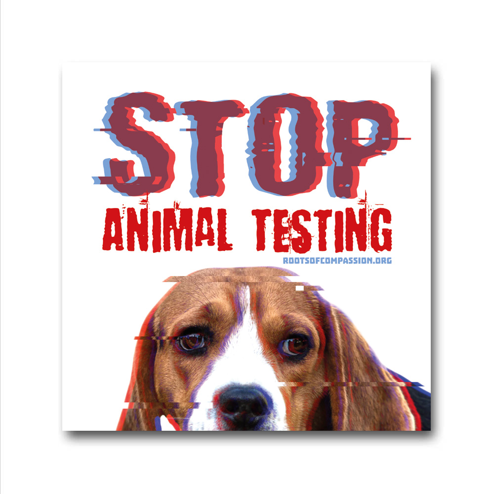 Testing animal The Ethics