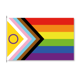 Fahne Inter-Inclusive Progress Pride
