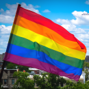 Fahne Pride - Soliartikel