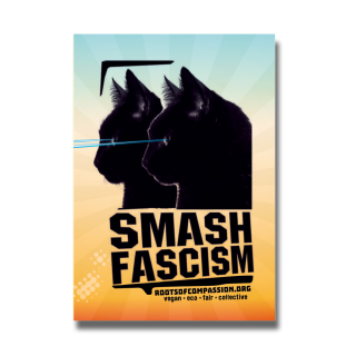 Cats against fascism - Sticker (10x)